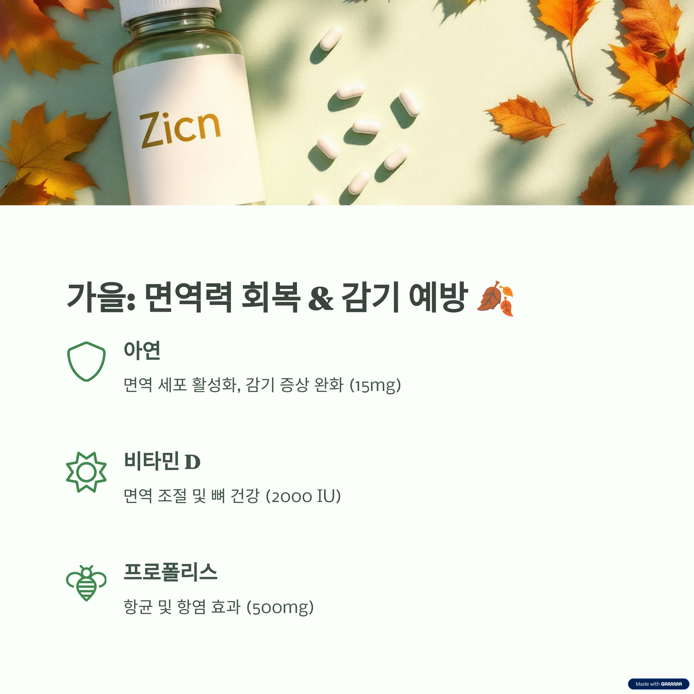 건강 보조식품 정리 5