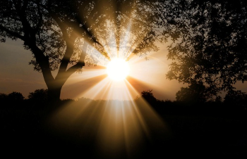 보건증 검사항목 쉽게 정리 12