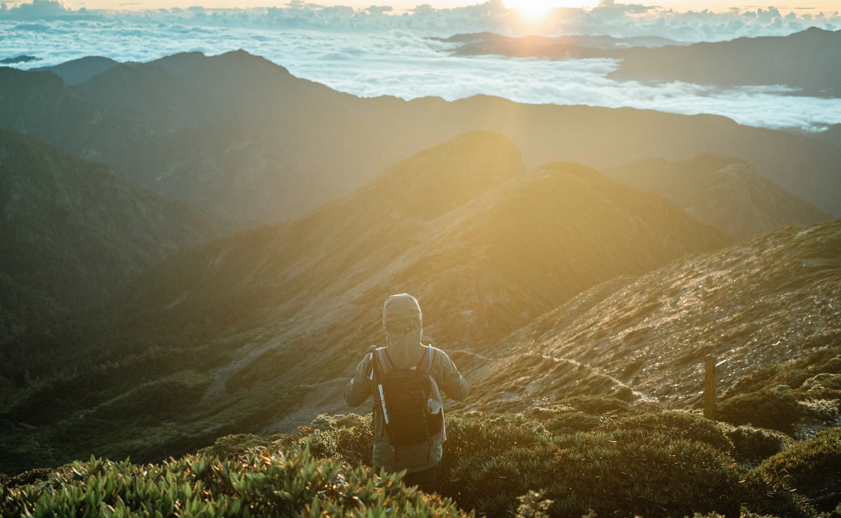 서울 불수사도북 대회
