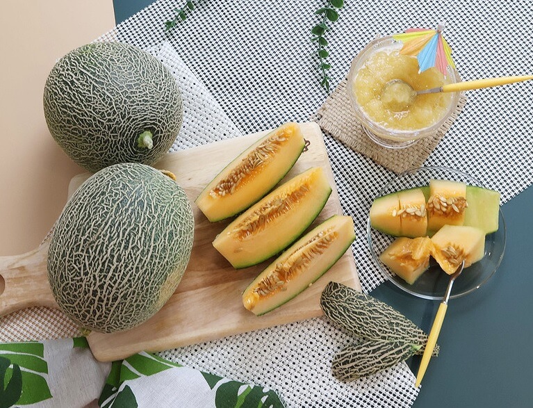 생방송투데이 이 주의 장바구니 경북 고령 쌍둥이메론농장 하미과 & 설향 멜론 주문방법 생방송투데이 3776회