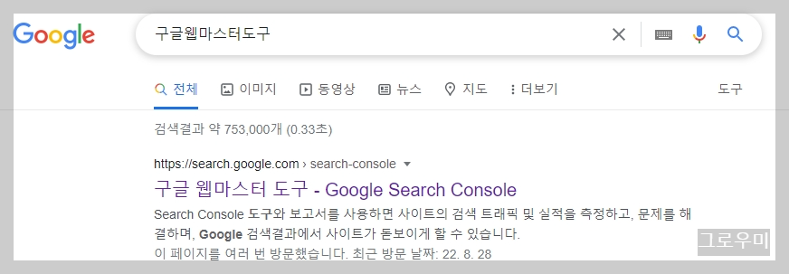 구글 웹마스터 도구 검색