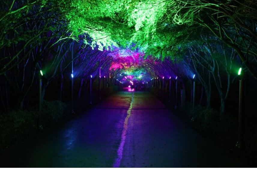 독립기념관 단풍나무길 주차장 위치