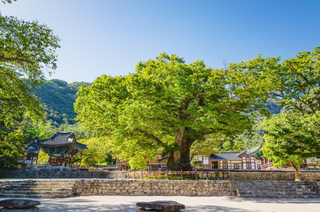 부안 내소사