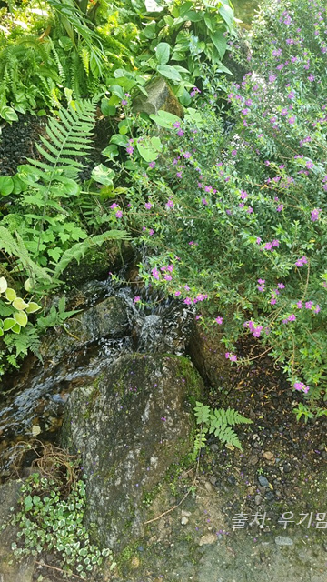 24년 순천만 국가정원 식물원 동문 순천여행