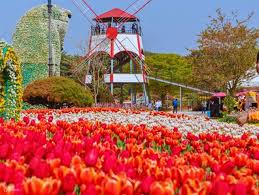 안면도꽃박람회