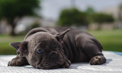 보습제 고르는 기준 관련 사진