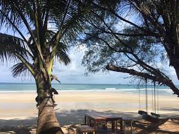 푸꾸옥 후추농장