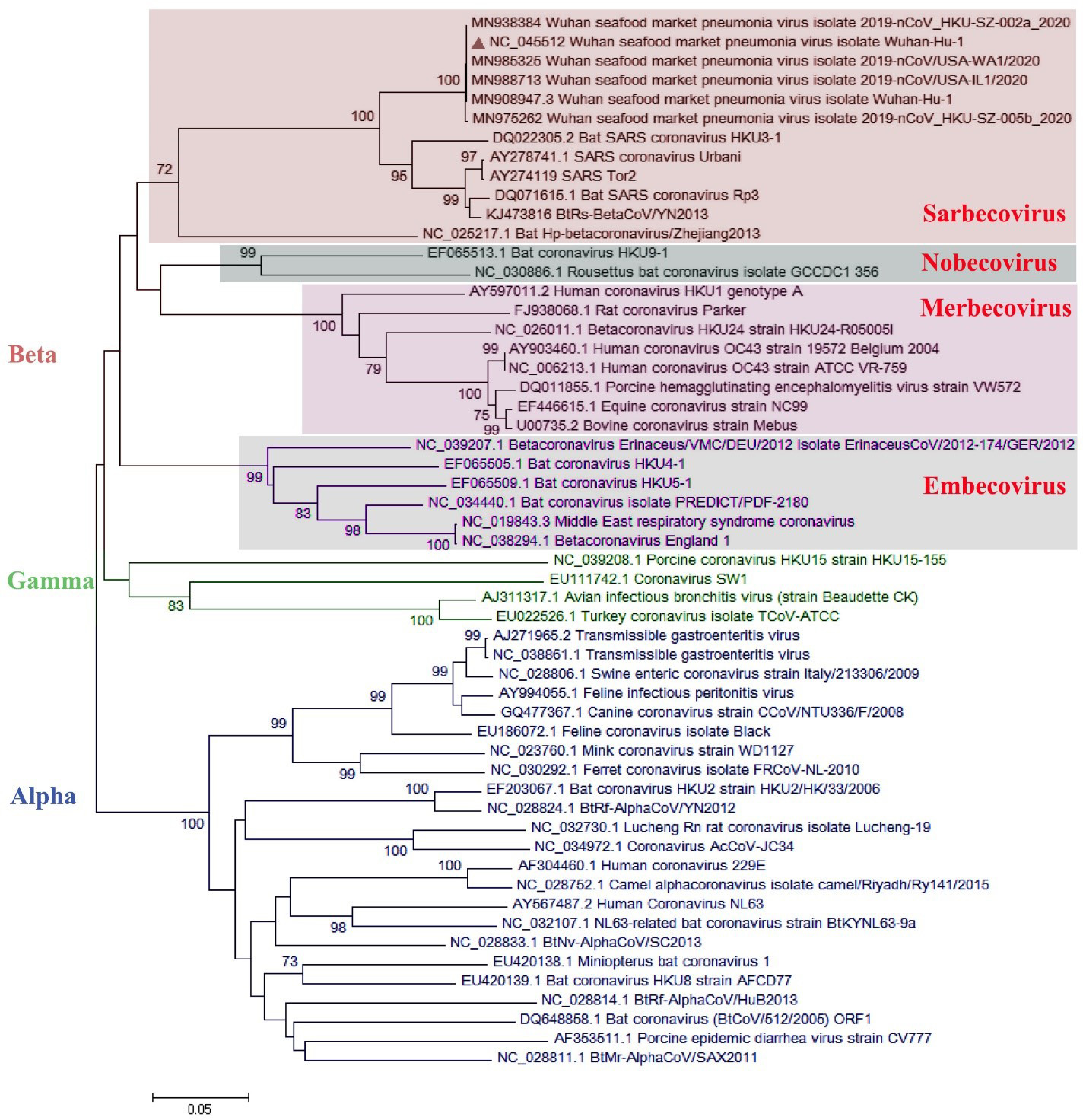 코로나바이러스 종류