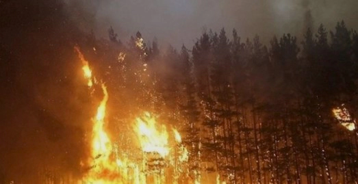 양간지풍 사례 및 대응방안