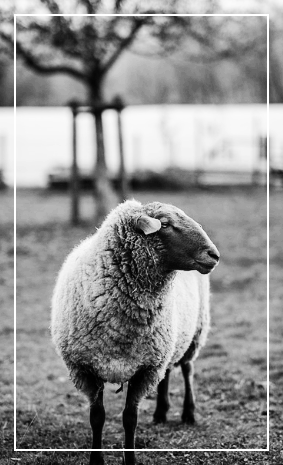 내면의 조율과 실속 있는 정비