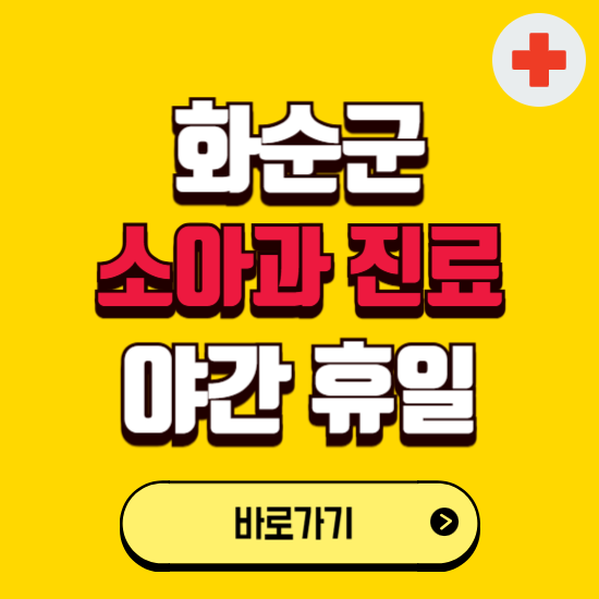 화순군 야간 소아과 진료병원 찾기 ❘ 24시 일요일 주말 연휴 응급진료 추천 잘하는 곳