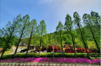 장령산 자연휴양림