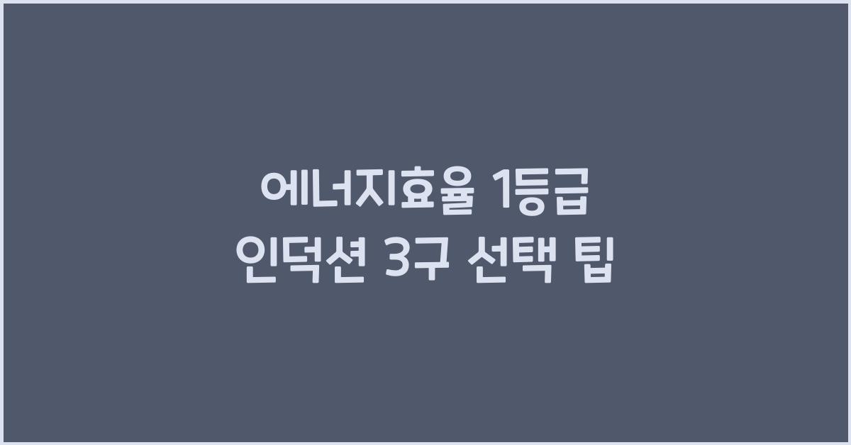 에너지효율 1등급 인덕션 3구