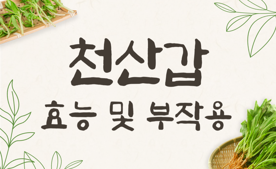 천산갑 효능과 부작용, 침향과 솔방울로 건강 챙기기