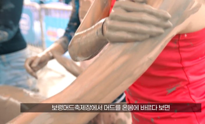 보령 머드축제