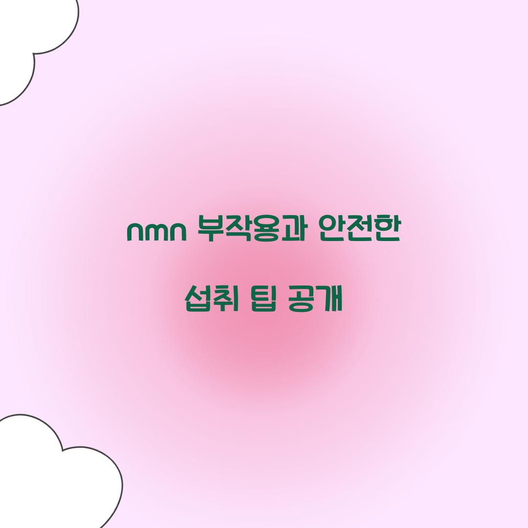 nmn 부작용