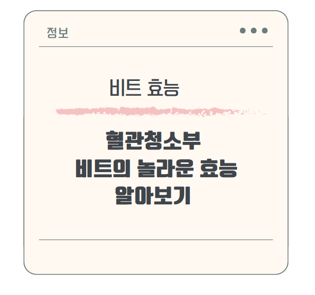 혈관청소부 비트의 놀라운 효능 10가지 알아보기