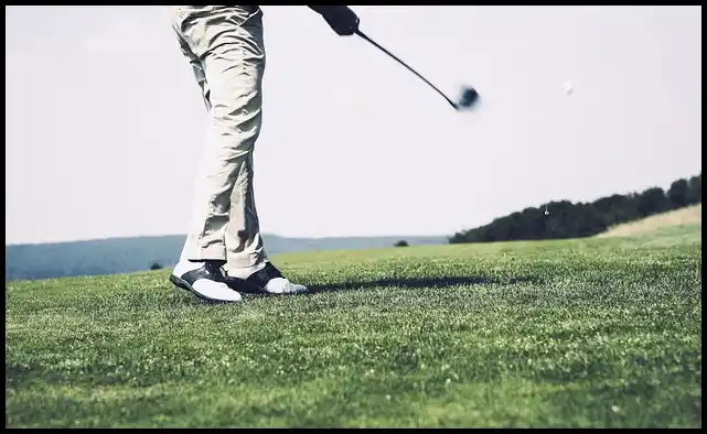 파크골프 용어 정리 (+ 해설 )