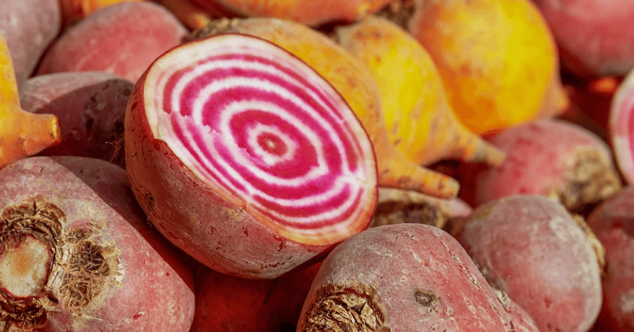 반으로 갈라져 있는 비트