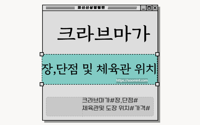 크라브마가 서울, 대구, 창원, 대전, 전주, 부산, 포항, 대구 체육관 및 도장 위치
