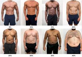 체지방률에 따른 몸변화 사진