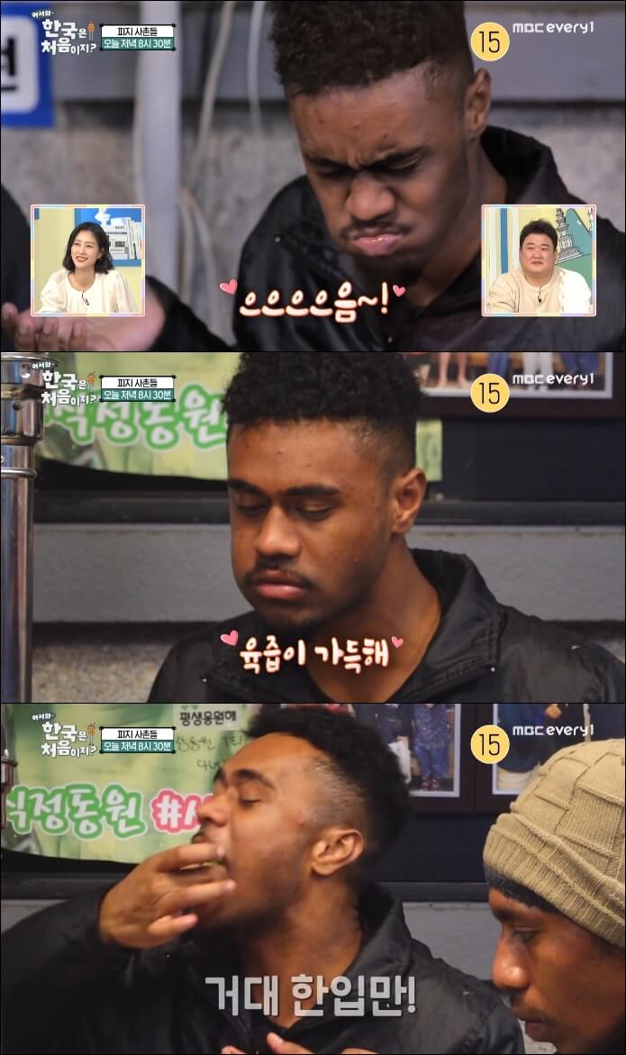 피지-조세세