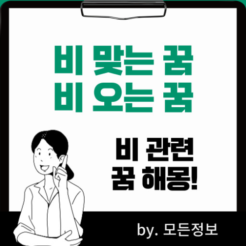 비 맞는 꿈 비 오는 꿈 폭우 홍수 비옷 비바람