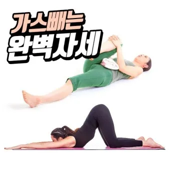 배에 가스가 차고 방귀를 자주 뀜 원인부터 해결책까지 한번에 알아보기_8