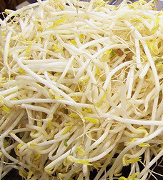 숙주나물의 효능 부작용 요리 고르는법