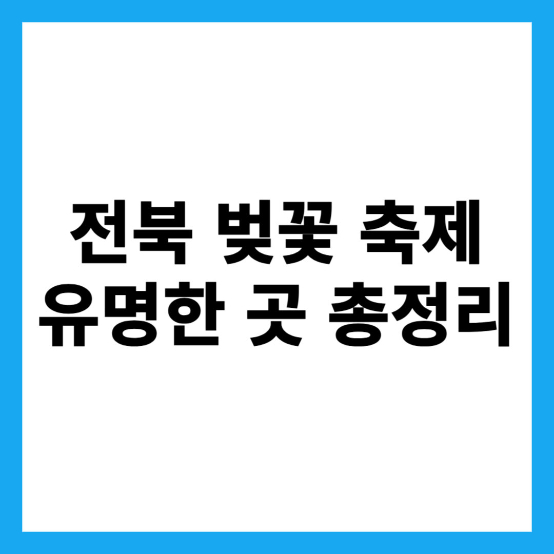 전북 벚꽃 축제 유명한 곳 총정리