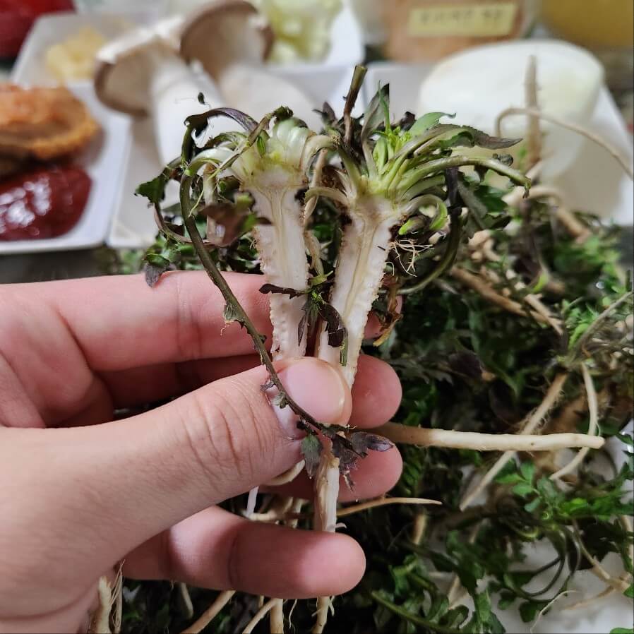 냉이 손질 하는 법 냉이 된장국 끓이는 법