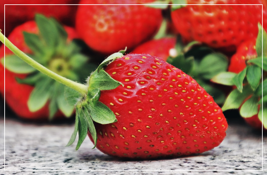 딸기
