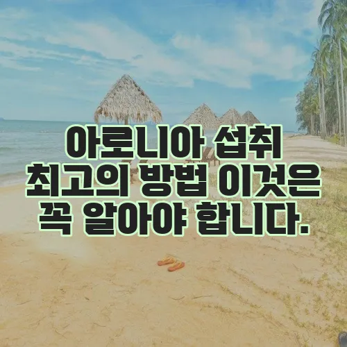 아로니아 섭취 최고의 방법 이것은 꼭 알아야 합니다.