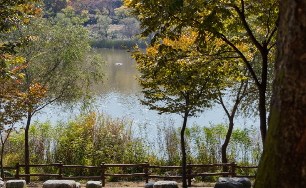 인천 갈만한곳 당일치기 여행 (SNS 인천 핫스팟) - 계양산 무장애숲길, 인천대공원, 드림파크 야생화 공원, 청라 커널웨이, 원적산공원, 강화나들길(19코스 석모도 상주 해안길), 무의바다누리길, 월미바다열차