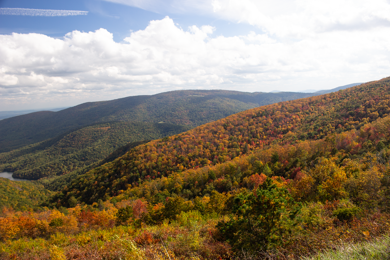 버지니아 학군비교