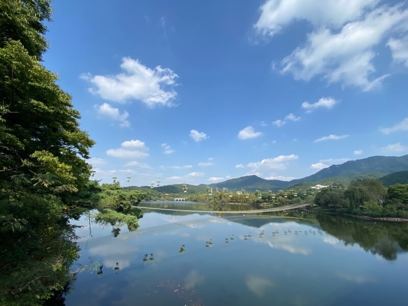 과천-서울대공원-호수-위를-지나가는-리프트