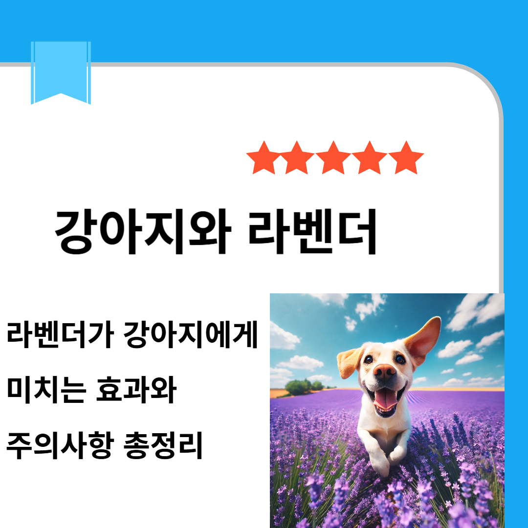 강아지와라벤더 효과왕 주의사항