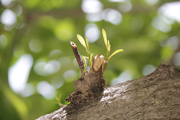 미움에서 연민으로: 부모를 다시 바라보다