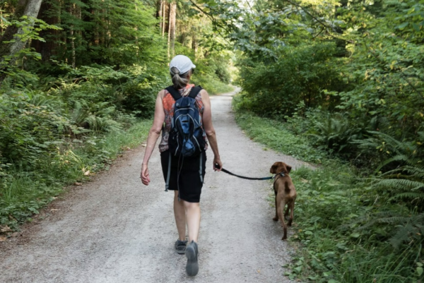 기 운동의 장점, 초보자에게 적합한 걷기 유산소 운동 방법