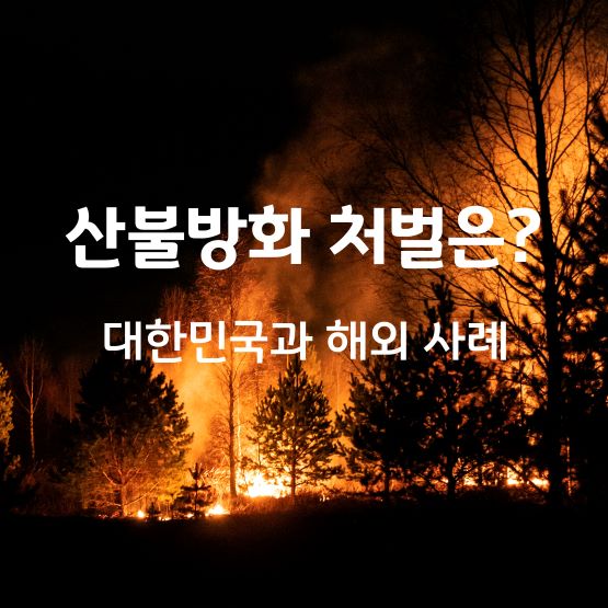 산불방화-처벌