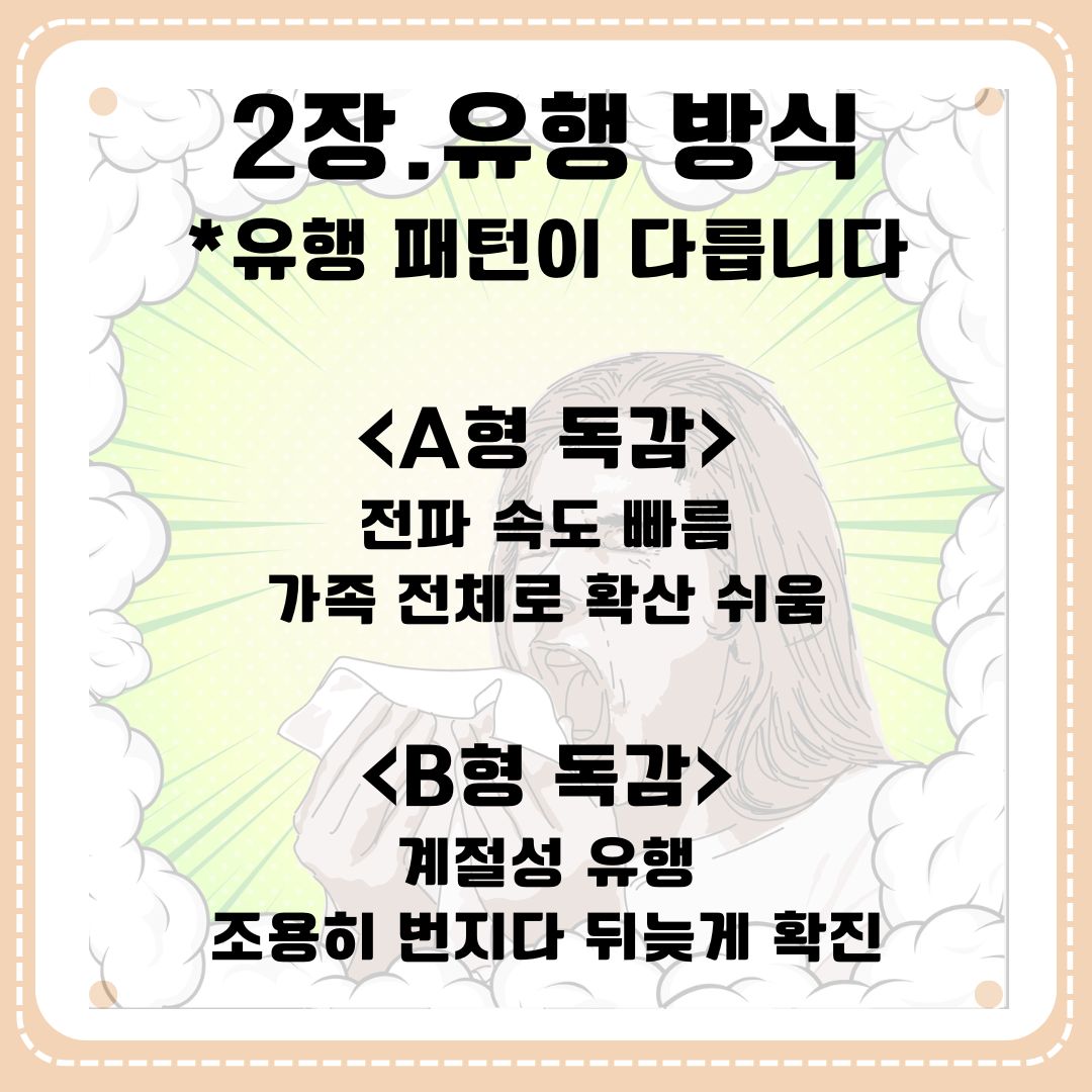 A형 독감과 B형 독감 차이점 한눈에 정리