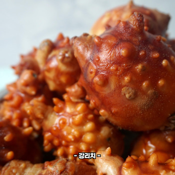 멍게 효능