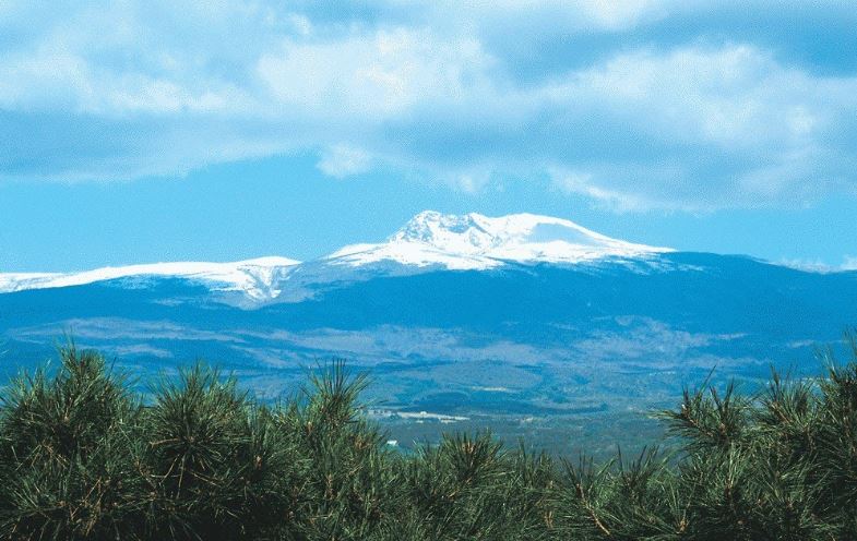제주 한라산