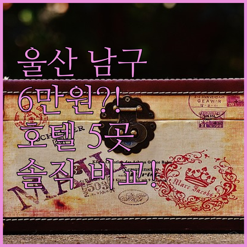 울산 남구 호텔 5곳 6만원대부터 프..