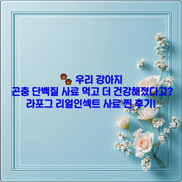 🐾 우리 강아지, 곤충 단백질 사료 먹고 더 건강해졌다고? 라포그 리얼인섹트 사료 찐 후기!