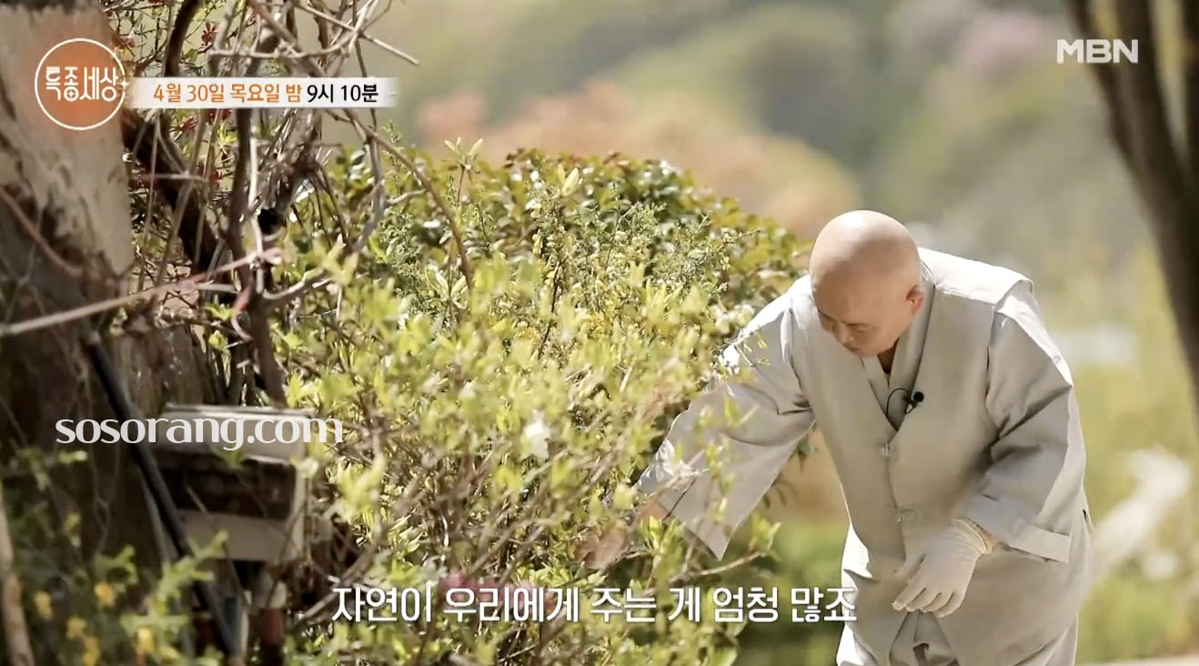 경주 보광사 보명스님 자연 속 수행 일상 특종세상 공개