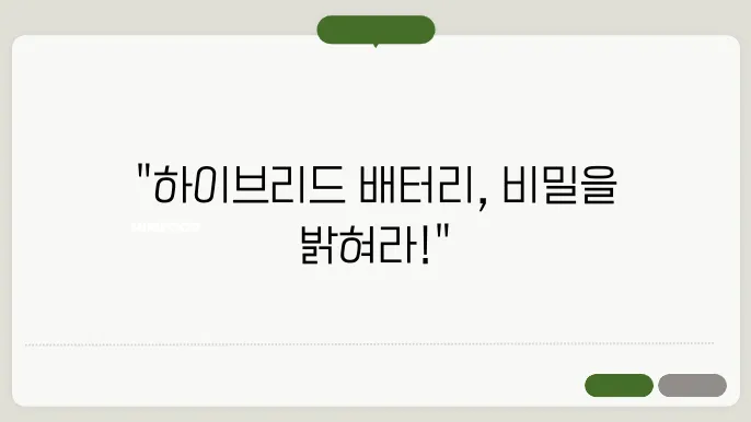 하이브리드 자동차 배터리 수명