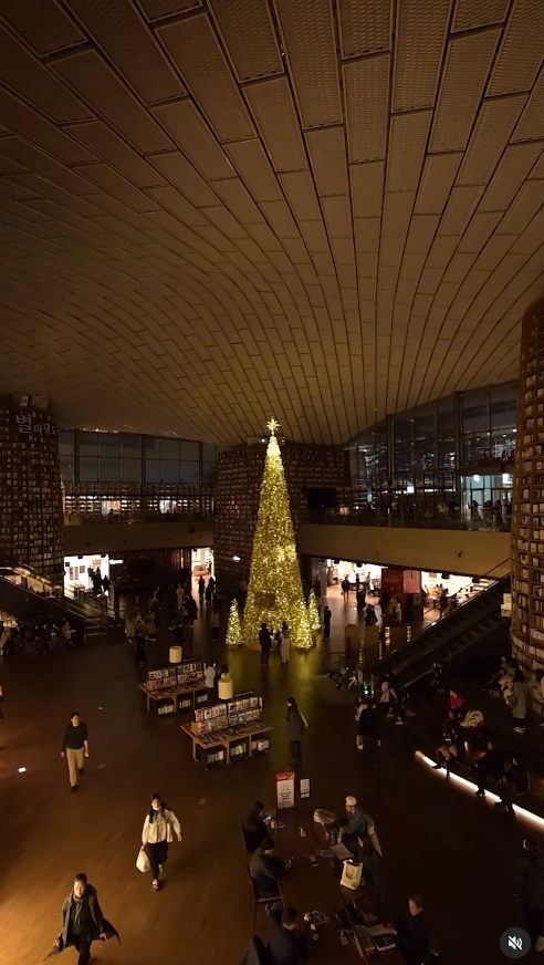 예쁜 크리스마트 트리 있는 곳