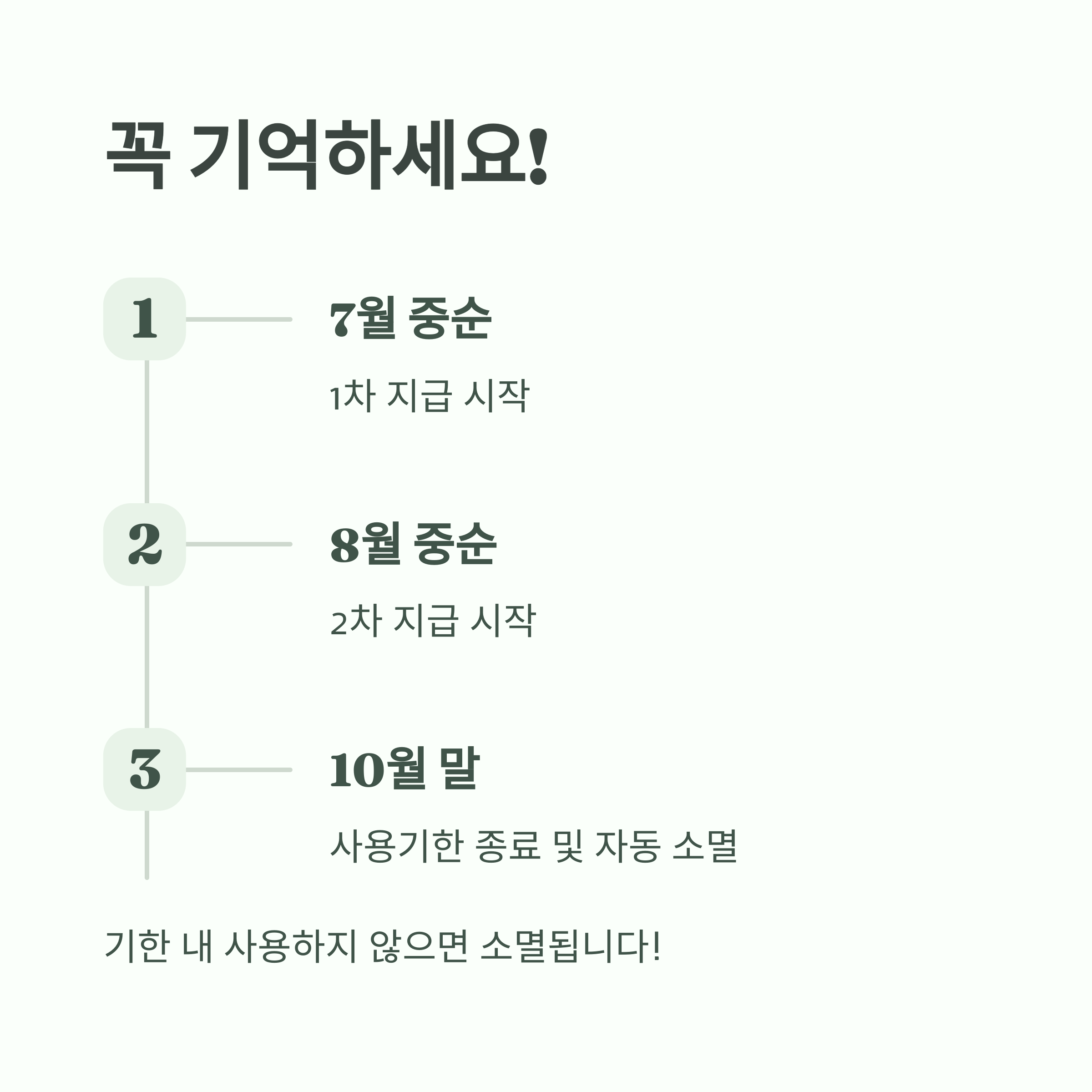 정책 일정 및 유의사항