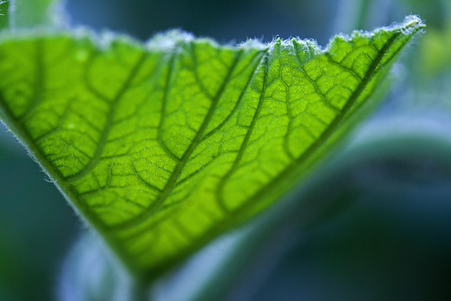 뇌에 피가 고인다? 경막하출혈 초기 증상 꼭 확인하세요